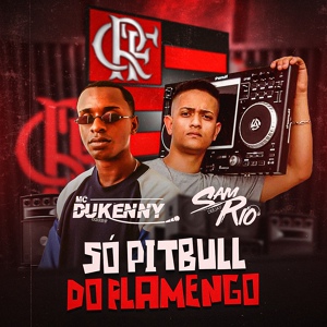 Обложка для DJ Samrio, MC Dukenny - Só Pitull do Flamengo