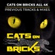 Обложка для Cats On Bricks, Prinz M. - Feeld Good