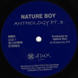 Обложка для Nature Boy - Prayer