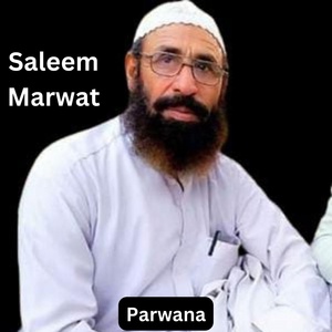 Обложка для Saleem Marwat - Parwana
