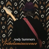 Обложка для Andy Summers - Gigantopithecus