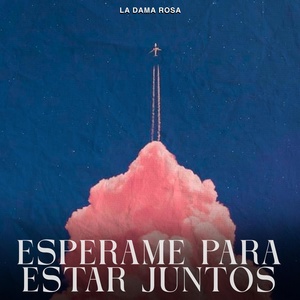 Обложка для La Dama Rosa - Esperame Para Estar Juntos