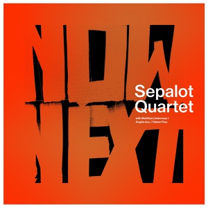 Обложка для Sepalot feat. Angela Aux, Matthias Lindermayr, Fabian Füss - Tocole