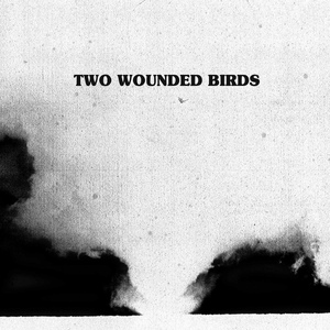 Обложка для Two Wounded Birds - My Lonesome
