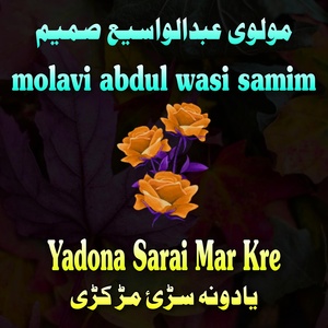 Обложка для molavi abdul wasi samim - Azadi Da Khushali Da