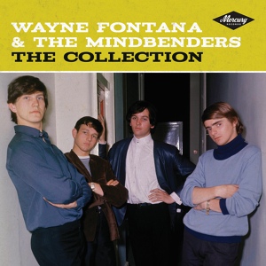 Обложка для Wayne Fontana & The Mindbenders - Too Much Monkey Business