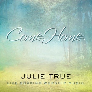 Обложка для Julie True - Soften My Heart (Live)