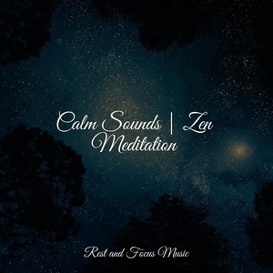 Обложка для Namaste Healing Yoga, Musica Reiki, Tonal Meditation Collective - Cruisin' Winds