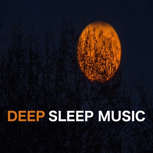 Обложка для The Sleep Specialist, Sleepy Times, Deep Sleep - Trance and Eternity