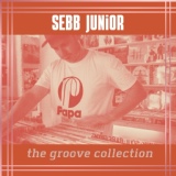 Обложка для Sebb Junior - This Sound Rocks My Body