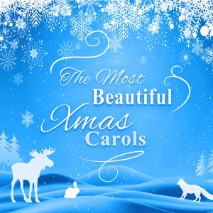Обложка для Traditional Christmas Carols Ensemble - Light the Advent Candle