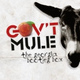 Обложка для Gov't Mule - Birth Of The Mule
