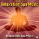 Обложка для Relaxation Spa Music Masters - The Wisdom of the Flute