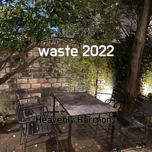 Обложка для Heavenly Harmony - waste 2022