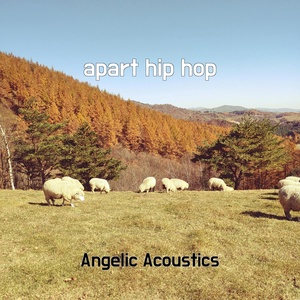 Обложка для Angelic Acoustics - apart hip hop