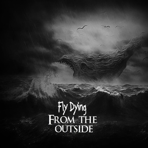 Обложка для fly dying - From the outside