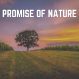 Обложка для Nature Sounds Nature Music - Breakthrough