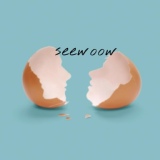 Обложка для Seewoow - На ошибках