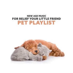 Обложка для Pet Relax Academy - Blissful Relaxation with Pet Playlist