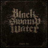 Обложка для Black Swamp Water - Into the Fire