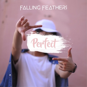 Обложка для Falling Feathers - Perfect