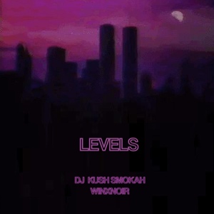 Обложка для DJ KUSH SMOKAH, WINXNOIR - Levels