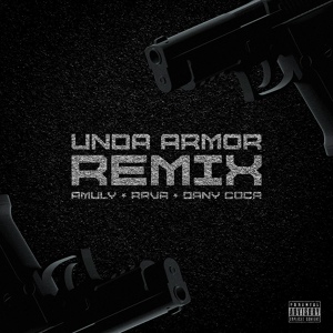 Обложка для Amuly, RAVA feat. Dany Coca - Unda Armor (Remix)