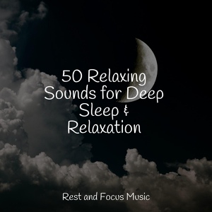 Обложка для Namaste Healing Yoga, Soothing Chill Out for Insomnia, Música para Massagem Especialistas - Spring Sun Relaxation