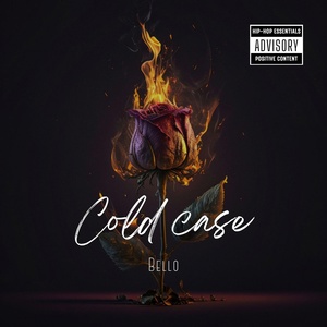 Обложка для bello - Cold Case
