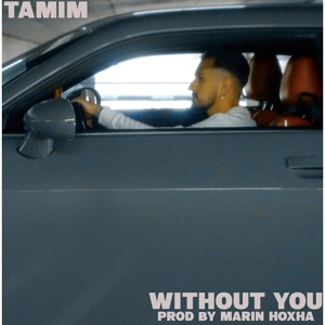 Обложка для TAMIM feat. Marin Hoxha - Without You