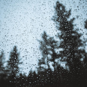 Обложка для Alex Powell - Forest Rain