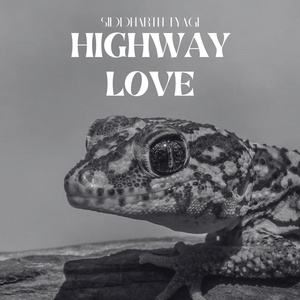 Обложка для Siddharth Tyagi - Highway Love