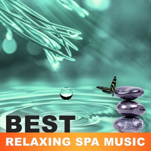 Обложка для Spa Zen - Reiki Music