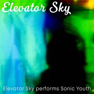 Обложка для Elevator Sky - Teenage Riot