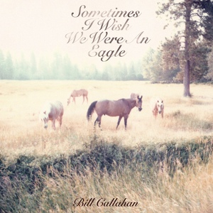 Обложка для Bill Callahan - All Thoughts Are Prey To Some Beast