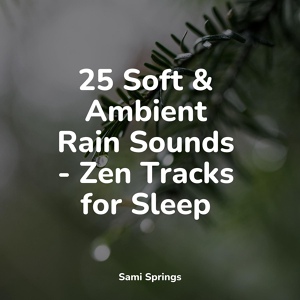 Обложка для Baby Sleep Lullaby Academy, Relaxamento, White Noise for Deeper Sleep - Falling Rains
