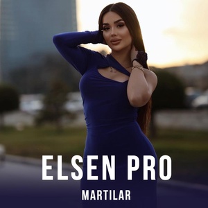 Обложка для Elsen Pro - Martılar