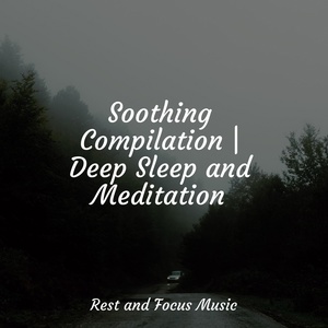 Обложка для Relaxing Sleep Music, Study Concentration, Wellness - Starry Drops