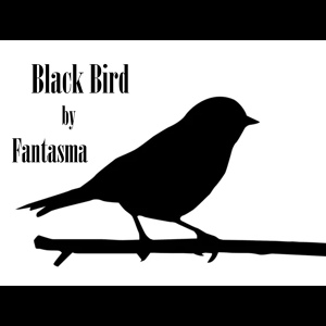 Обложка для fantasma da rima - Black Bird