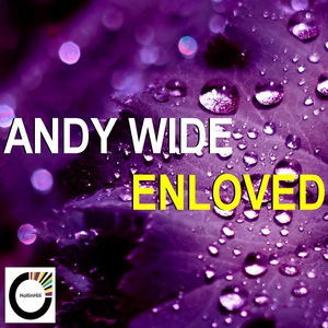 Обложка для Andy Wide - Enloved (2012 Special for Alex Maletina mix)