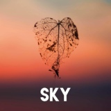 Обложка для CDM Project - Sky