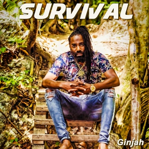 Обложка для Ginjah - Survival