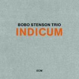 Обложка для Bobo Stenson Trio - Your Story