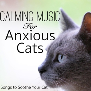 Обложка для Cat Music Dreams - Cat Therapy Music