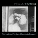 Обложка для Yo La Tengo - Sinatra Drive Breakdown