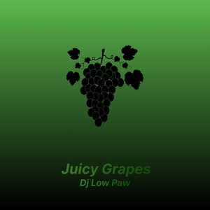 Обложка для Dj Low Paw - Juicy Berries