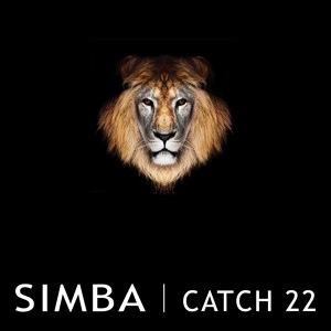 Обложка для Simba - Catch 22