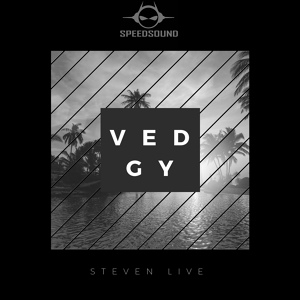 Обложка для Steven Live - Vedgy