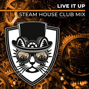 Обложка для Cats On Bricks, Zach Alwin - Live It Up (Steam House Club Mix)