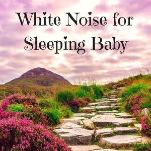 Обложка для Calming Baby Sleep Music Club - Roses